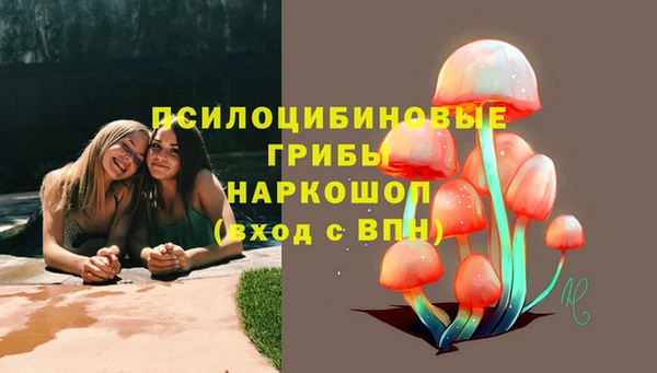 кокс Богородицк