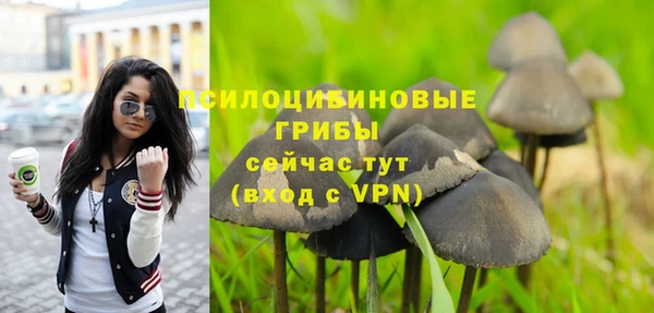 индика Богородск