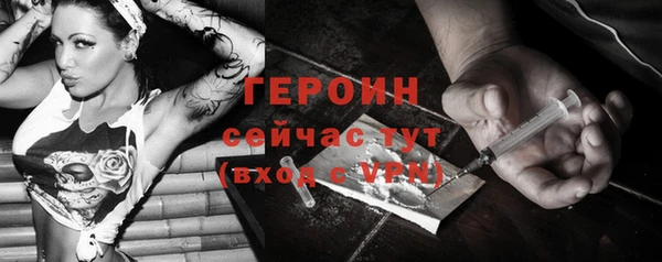 индика Богородск