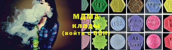 молекула духа Богданович