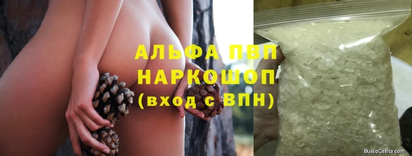 индика Богородск