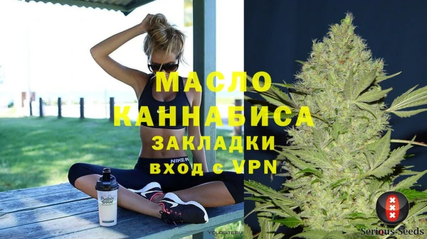 молекула духа Богданович