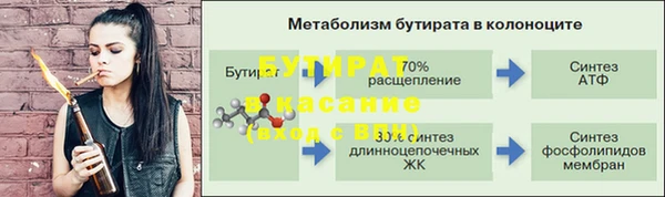 индика Богородск