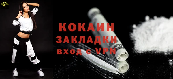 молекула духа Богданович