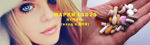 молекула духа Богданович