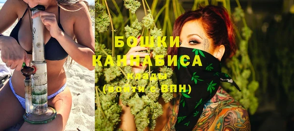 молекула духа Богданович