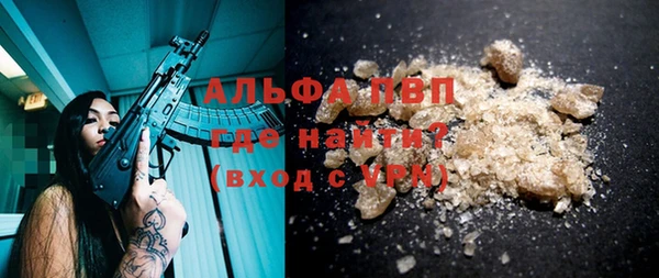 молекула духа Богданович