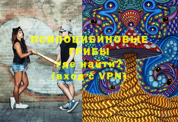индика Богородск