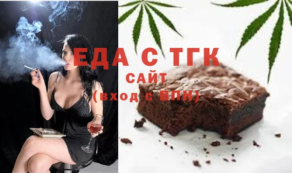 индика Богородск