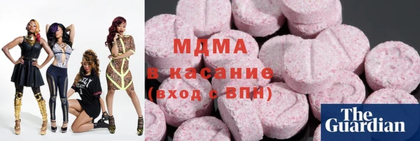 молекула духа Богданович