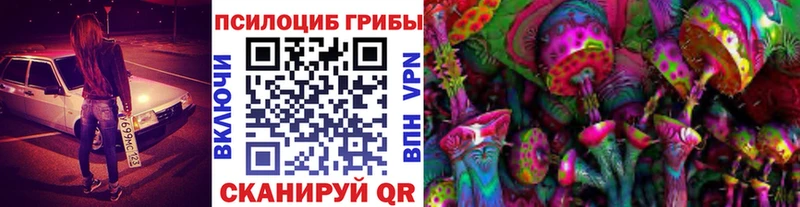 Купить закладки  Медынь  Псилоцибиновые грибы GOLDEN TEACHER 